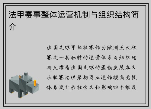 法甲赛事整体运营机制与组织结构简介